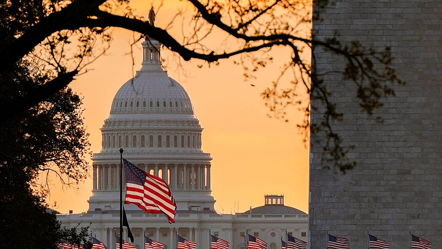 Amerikan bayrakları, gün doğumunda Washington'daki ABD Kongre Binası'nın önünde dalgalanıyor, 1 Ekim 2025.