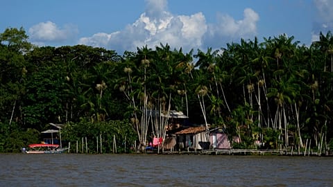 منزل عائلي بجوار أشجار الأساي على ضفاف نهر غوا ما قرب مدينة بيليم في البرازيل، في 6 أغسطس 2023.