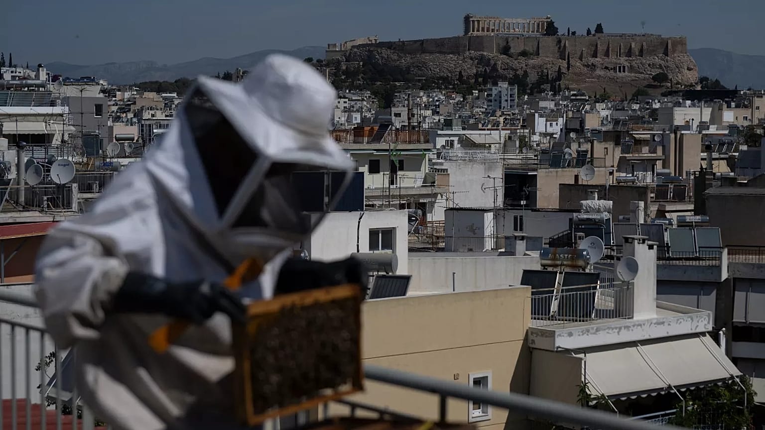 The ancient Acropolis hill stands in the background as Nikos Chadjilias inspects a beehive on a building's roof in Athens, Greece.