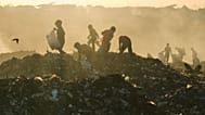 کودکان غزه به دنبال پسمانده غذا، ۳۰ سپتامبر ۲۰۲۵