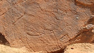 Amatör arkeoloji meraklıları tarafından keşfedilen devasa kaya oymaları arasında gerçek boyutlu develer de bulundu.