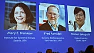 Los ganadores del premio Nobel de Medicina de este año, en una foto distribuida por el Instituto Karolinska.