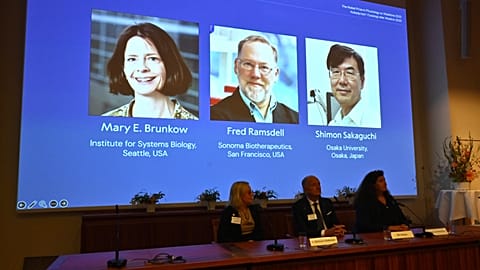 A három kitüntetett immunkutató fényképe a stockholmi Karolinska Intézet Nobel-közgyűlésén