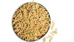 India y Pakistán han solicitado a la UE el reconocimiento de la indicación geográfica protegida del arroz Basmati.