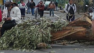 Tüntetők úttorlasza Ecuadorban