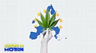 Around 15.4% of young EU citizens aged 15 to 34 consume cannabis. 