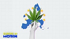 Etwa 15,4 % der jungen EU-Bürger zwischen 15 und 34 Jahren konsumieren Cannabis. 