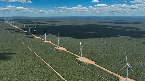 Worldwide solar and wind power generation has outpaced electricity demand this year, according to a new analysis. 