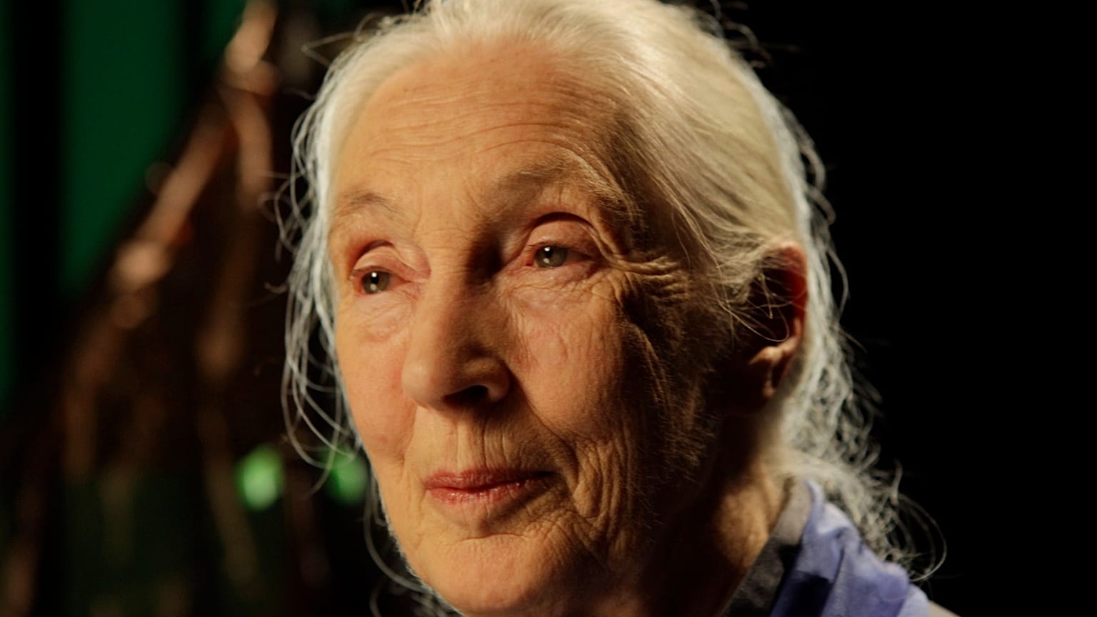Jane Goodall on Trump, Musk and hope in Netflix’s new posthumous interview series
