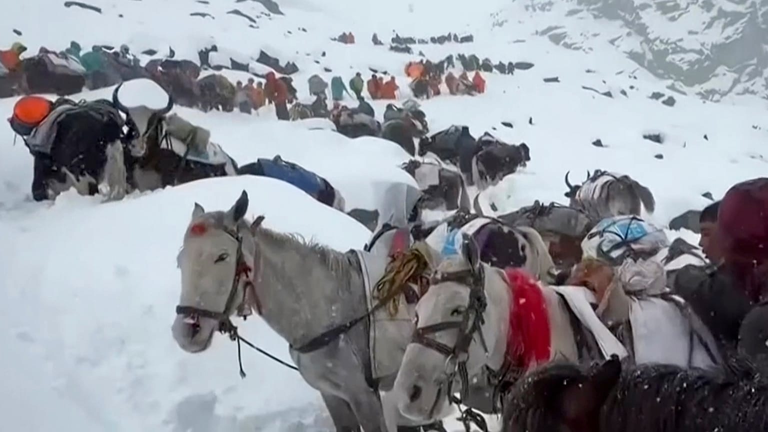 Villagers ascend the mountain during rescue efforts to reach hundreds of hikers trapped by heavy snow at tourist campsites on a slope of Mount Everest, on Sunday, Oct. 5, 2025