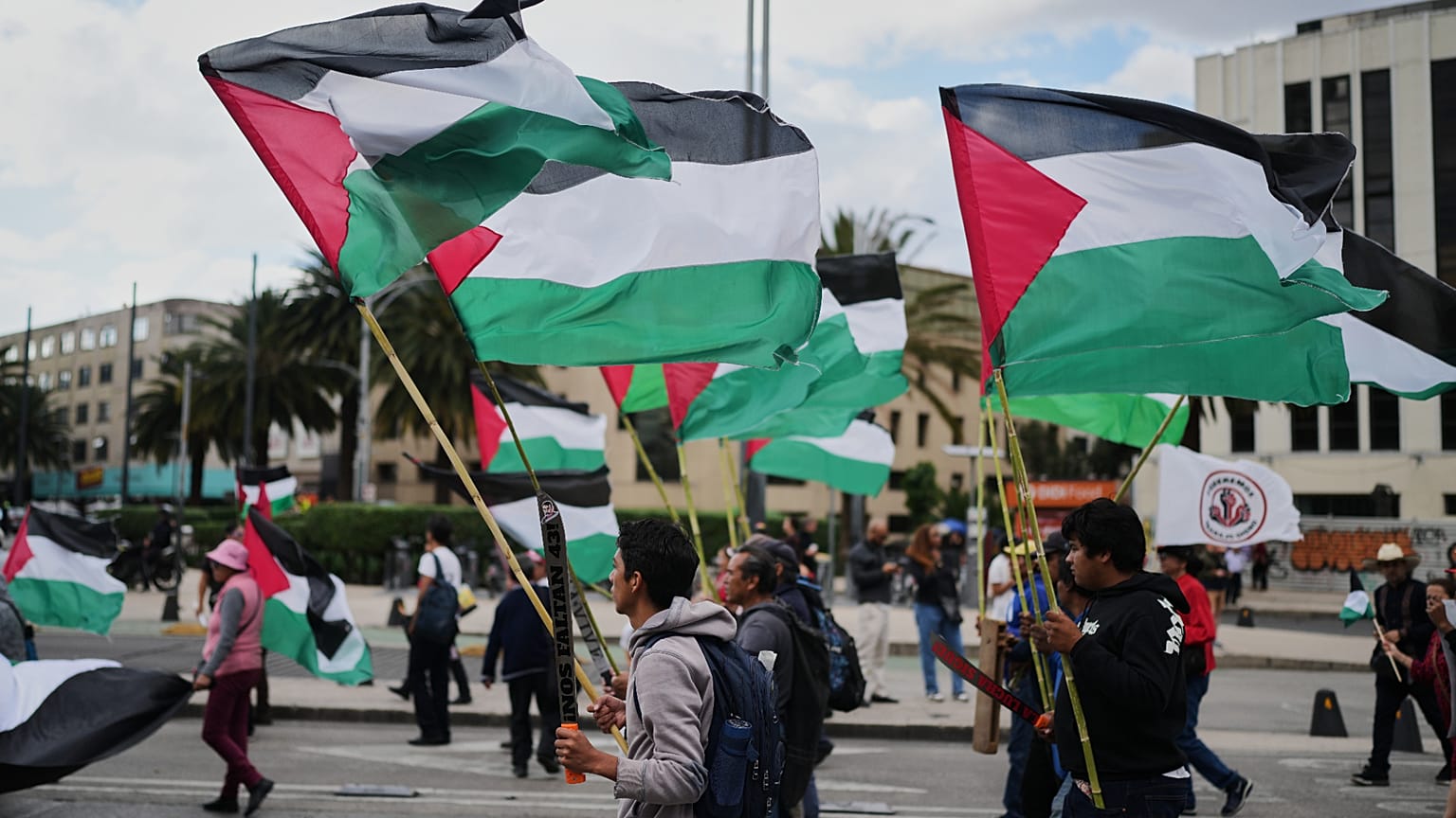Protestors demonstrate in support of the Palestinians.