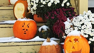 Calabazas y calabacines cubiertos de nieve