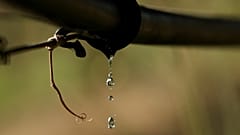Können die europäischen Landwirte den Wasserkreislauf retten?