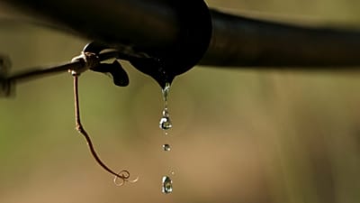 Können die europäischen Landwirte den Wasserkreislauf retten?