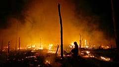 Feuerwehrleute bekämpfen einen Brand im Amazonas-Regenwald während einer Dürre und hohen Temperaturen in der ländlichen Gemeinde Careiro Castanho, Bundesstaat Amazonas, Brasilien.