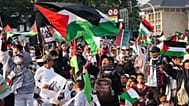 يرفع المتظاهرون الأعلام الفلسطينية خلال تجمع تضامني مع الفلسطينيين في غزة