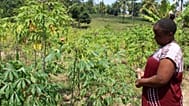 Elizabeth Amina Kadenge works on her farm in Kilifi, Kenya