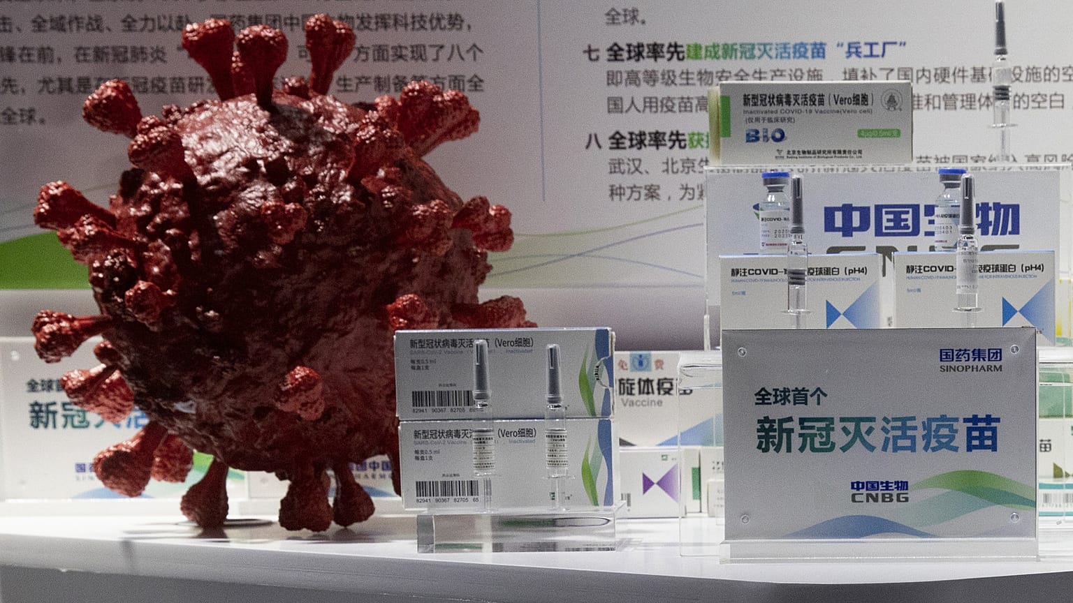 في هذه الصورة الأرشيفية الملتقطة في 6 سبتمبر 2020، تُعرض عينات من لقاح كوفيد-19 الذي أنتجته شركة CNBG التابعة لشركة سينوفارم بالقرب من نموذج ثلاثي الأبعاد لفيروس كورونا