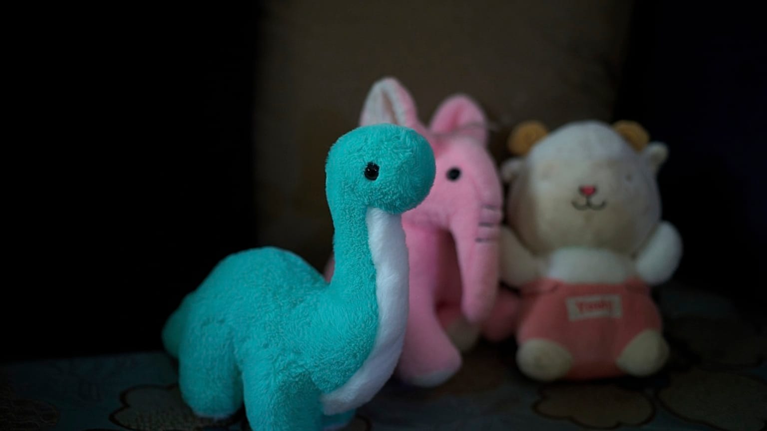 ألعاب تعود لطفلة فلسطينية في مدينة جنين بالضفة الغربية، الثلاثاء 11 مارس 2025