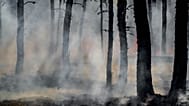 Wildfires are worsening around the world due to climate change: new report