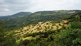 Ορεινή Μελιγού - Πάρνωνας