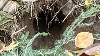 Polen ist kein Einzelfall: Das geheime Tunnel-System der Migranten 