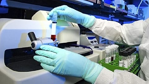 Investigación de cáncer.