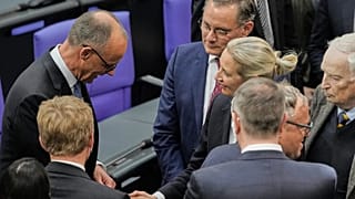 Händeschütteln im Bundestag: AfD-Chefin Alice Weidel gratuliert dem frischgebackenen Bundeskanzler im Mai 2025