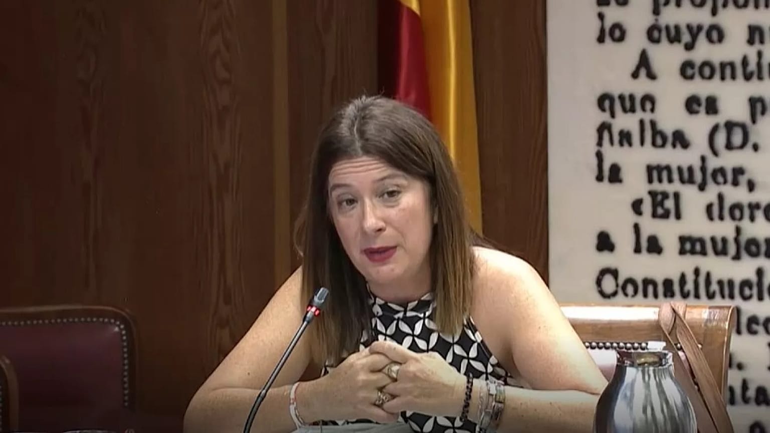 Leire Díez, durante una comisión de investigación del 'caso Koldo' el pasado 8 de septiembre
