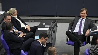 Az AfD vezetői a Bundestagban
