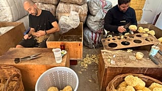 Σπογγαλιεία στην Κάλυμνο 