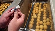The directive requires companies within the EU to exercise a form of “due diligence” over what happens throughout their supply chains, including outside Europe