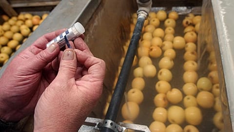 Az irányelv előírja az EU-s vállalatok számára, hogy "kellő gondossággal" ellenőrizzék, mi történik az ellátási láncukban