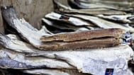 Pedaços de bacalhau seco empilhados são vistos em uma loja de alimentos no centro de Lisboa, quinta-feira, 30 de maio de 2013.