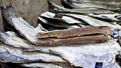 Куски сушеной трески, сваленные в кучу, видны в продуктовом магазине в центре Лиссабона, четверг, 30 мая 2013 года.