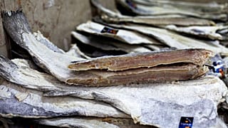Pedaços de bacalhau seco empilhados são vistos em uma loja de alimentos no centro de Lisboa, quinta-feira, 30 de maio de 2013.