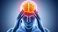 Men’s brains shrink faster than women’s, new study finds