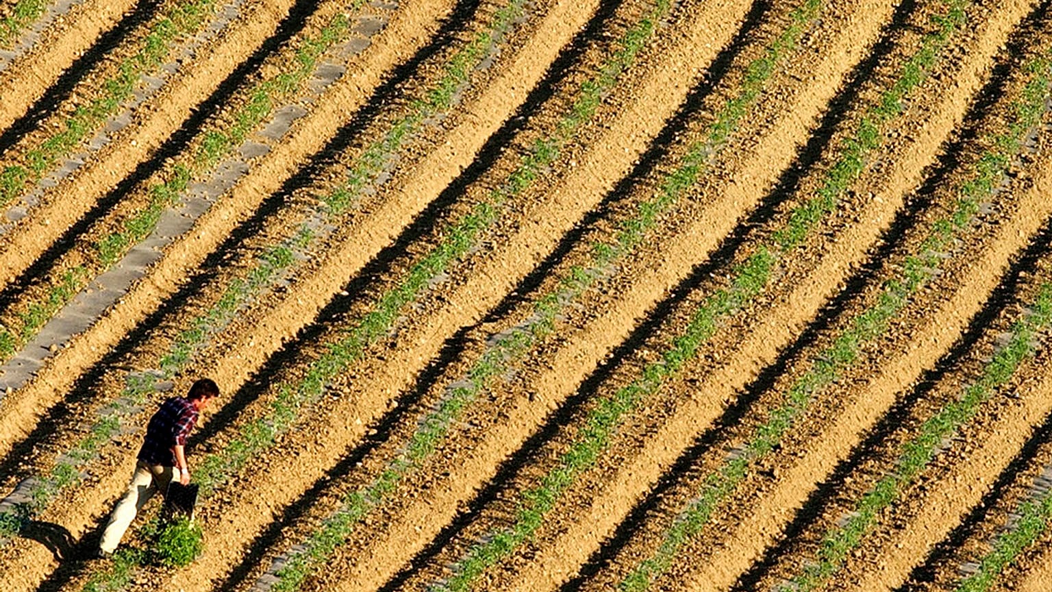 φωτό αρχείου