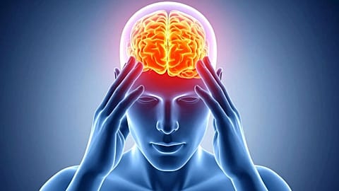 Novo estudo: o cérebro dos homens encolhe mais rápido do que o das mulheres.