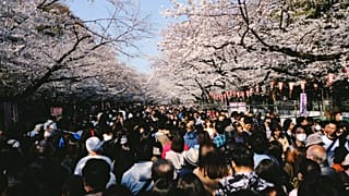 Japan will increase its departure tax in 2026