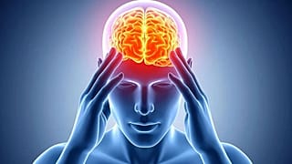 پژوهش‌های جدید در مورد مغز مردان و زنان