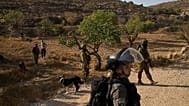 Israeli settlers stand near members of Israeli forces blocking access for Palestinians to an area for harvesting olives in the West Bank village of Sa'ir, 23 October, 2025