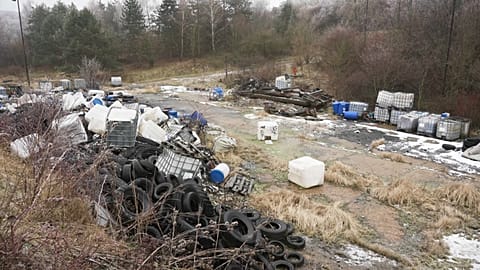 Making polluters pay: how can we stop environmental criminals?