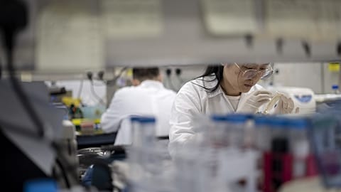 باحثون في مختبر تماسيك لعلوم الحياة يعملون على تطوير أصناف نباتية قادرة على الازدهار في البيئات القاسية لتعزيز الأمن الغذائي والقدرة على الصمود، يوم الاثنين 17 يوليو 2023،