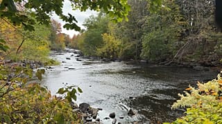 ضفاف نهر "موسام" في كينيبنك بولاية ماين الأمريكية، الثلاثاء 14 أكتوبر 2025.