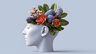 یک مطالعه جدید نشان داده است که ذهن انسان بین ۵۵ تا ۶۰ سالگی به اوج میرسد