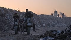 فلسطينيون يبحثون عن الحطب والبلاستيك في مكب نفايات بمدينة غزة، السبت 25 تشرين الأول/أكتوبر 2025. 