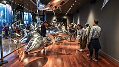 Ars Electronica