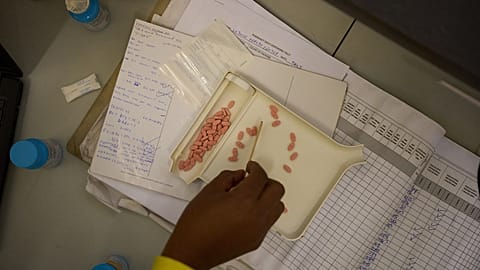 صورة تعبيرية لصيدلي يحصي أدوية علاج فيروس نقص المناعة البشرية داخل عيادة في ها ليجون