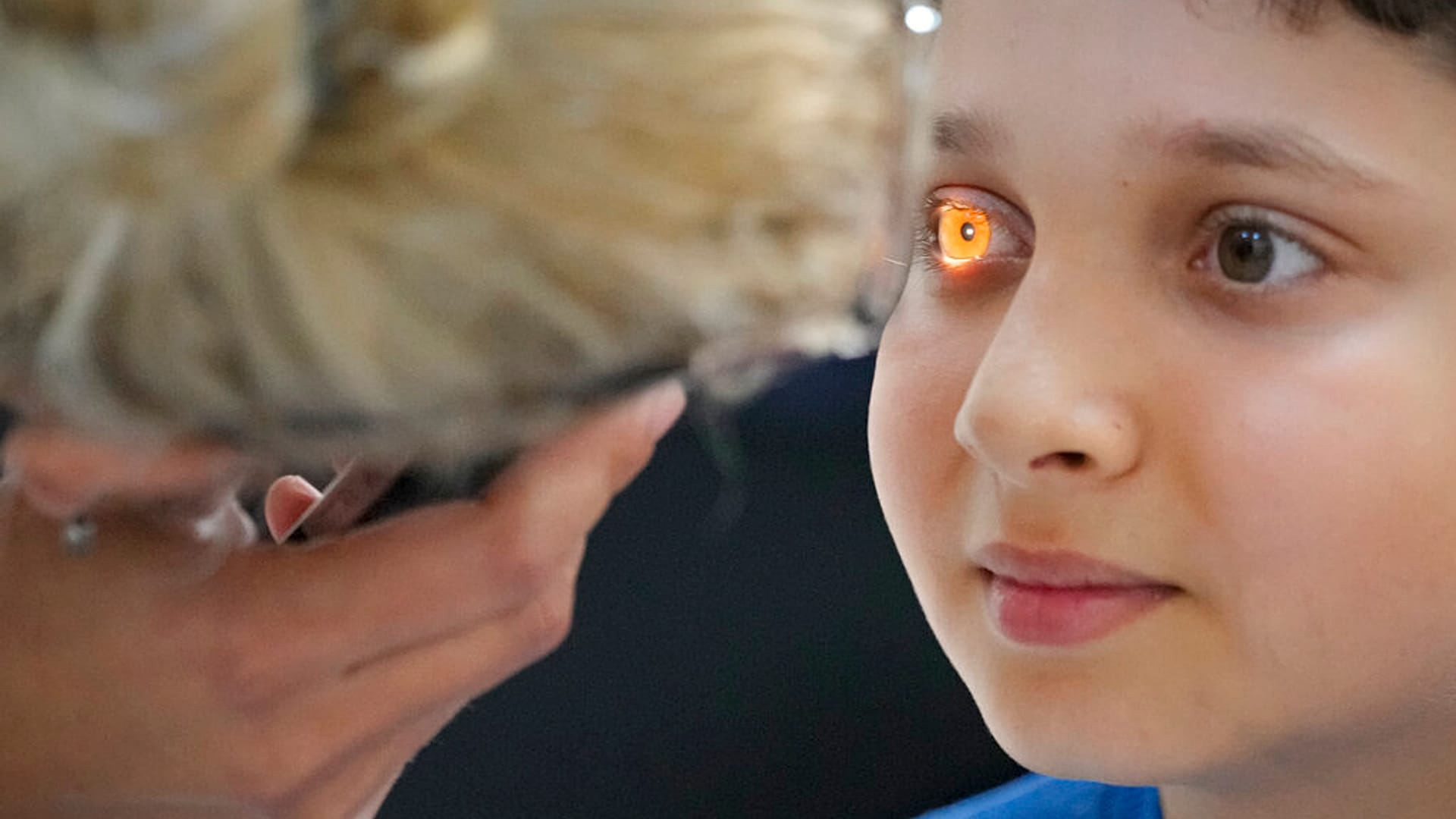 صورة تعبيرية لصبي يخضع لفحص نظر أجراه أطباء عيون متطوعون في نوكسوارا، رومانيا